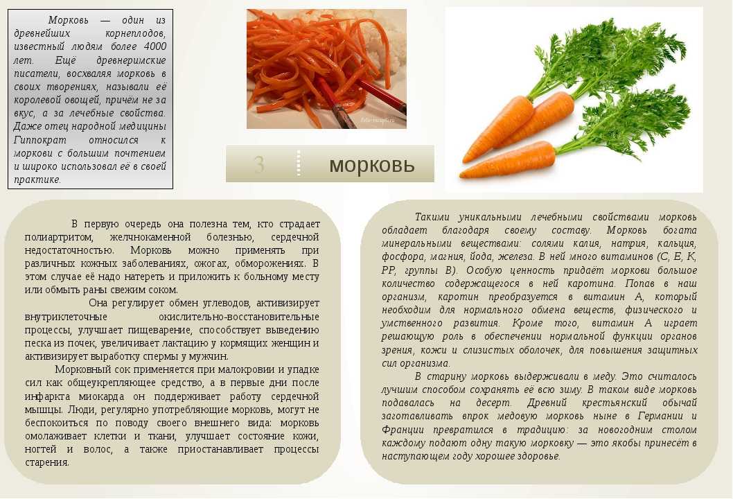 Как можно применять ботву моркови от геморроя и насколько это эффективно