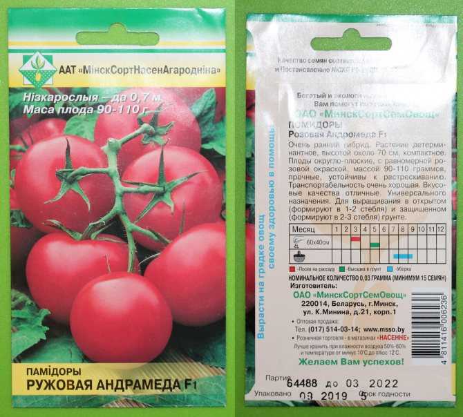 Высокоурожайные, вкусные и простые в уходе томаты «стреза» для выращивания в открытом грунте или теплице