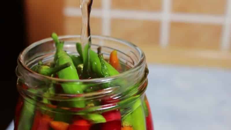 Как сохранить горький перец на зиму в домашних условиях в холодильнике в свежем виде? русский фермер