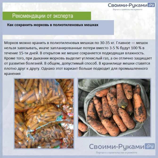 Как хранить морковь в погребе зимой в мешках из-под сахара: можно ли уберечь урожай в подвале от загнивания, какие практические советы существуют? русский фермер
