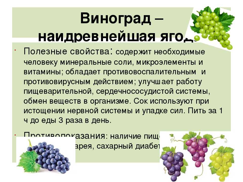 Виноград зеленый польза. Калорийность винограда кишмиш. Чем полезен виноград. Виноград польза. Полезные вещества в винограде.