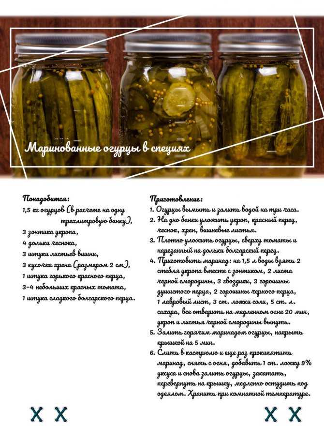 Несколько удачных рецептов засолки кабачков на зиму