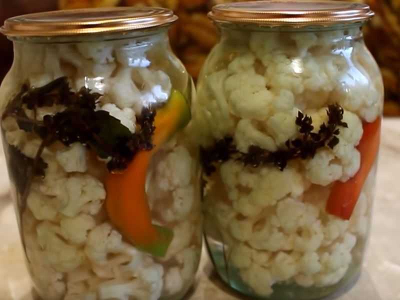 Заготовки на зиму из брокколи – рецепты консервации и хранения капусты
