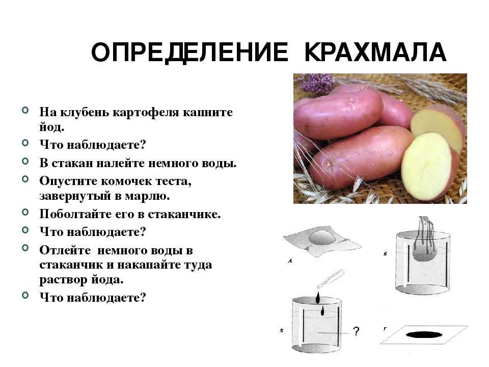 Определение химического состава картофеля
