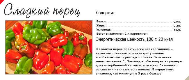 Зеленый болгарский перец — кладезь питательных веществ и витаминов