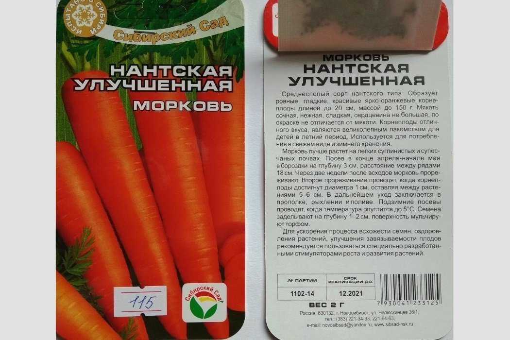 Морковь самсон: описание и характеристика сорта, урожайность, посадка и уход, фото, отзывы