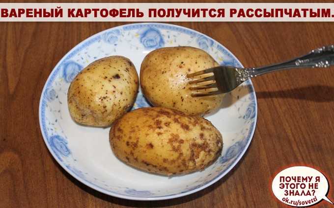 Картошка разваривается, что делать. как сварить рассыпчатую картошку
