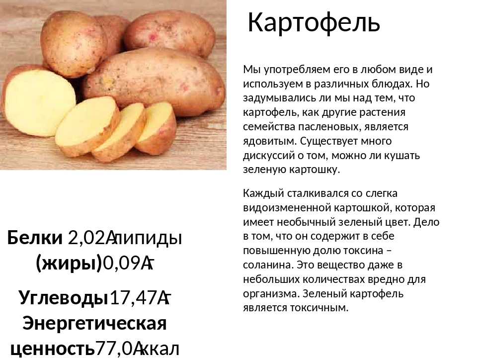 Картофель: польза и вред для здоровья человека
