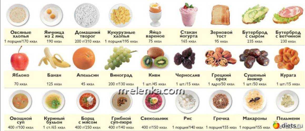 Dieta 1800 calorías endocrino