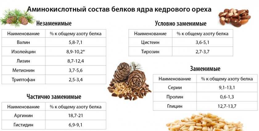 Почему полезно есть кедровые орехи? :: polismed.com