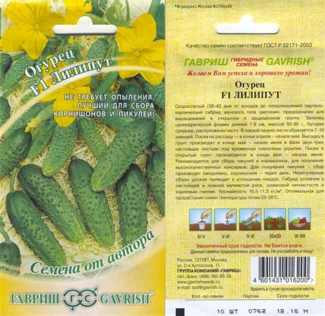Обзор огурцов «фурор»: преимущества и недостатки, характеристики урожая и советы по выращиванию