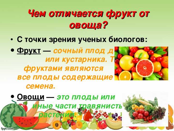 Дыня это ягода или фрукт, или овощ: польза и калорийность культуры
