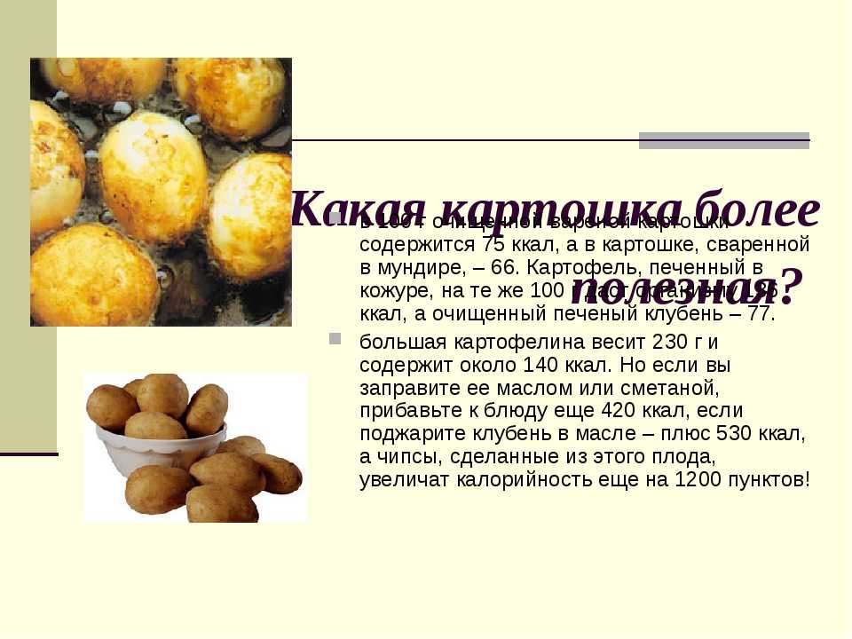 Сырой картофель: можно ли есть, польза и вред для организма человека, калорийность, особенности применения