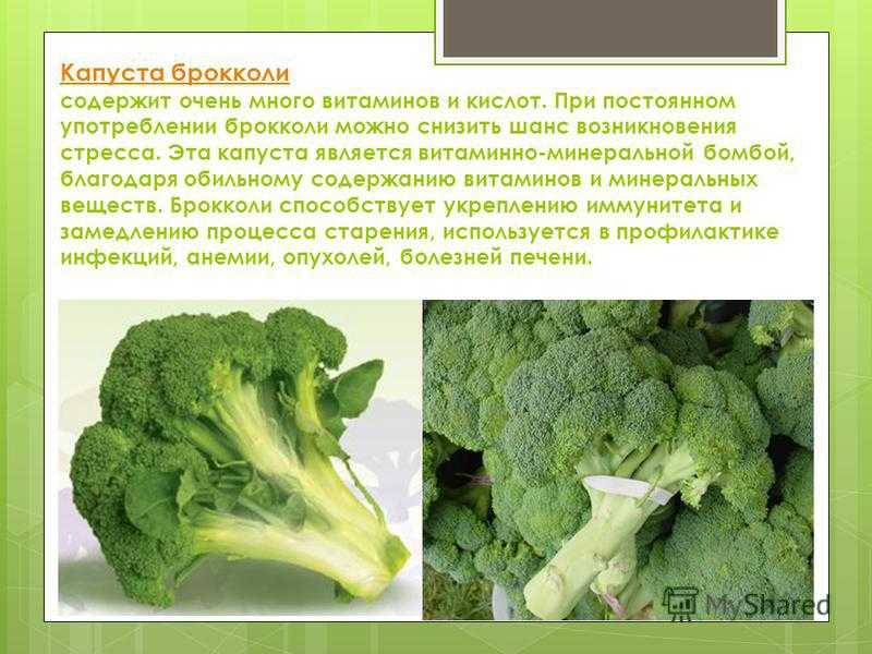 ᐉ как выглядит капуста брокколи и цветная - godacha.ru