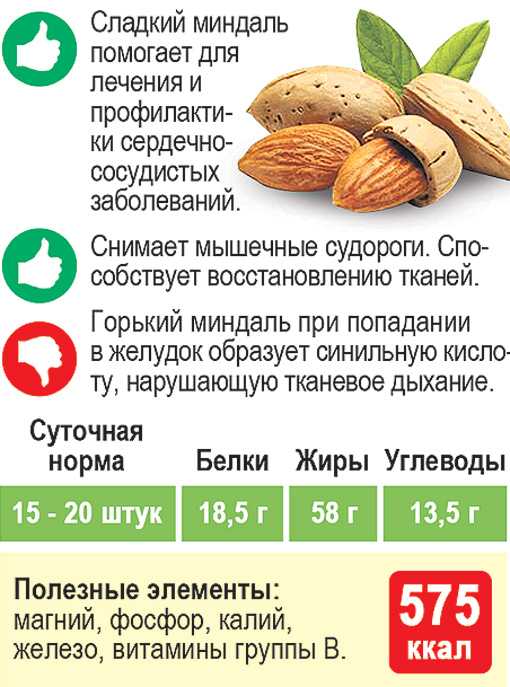 Калорийность кедровый орех. химический состав и пищевая ценность.