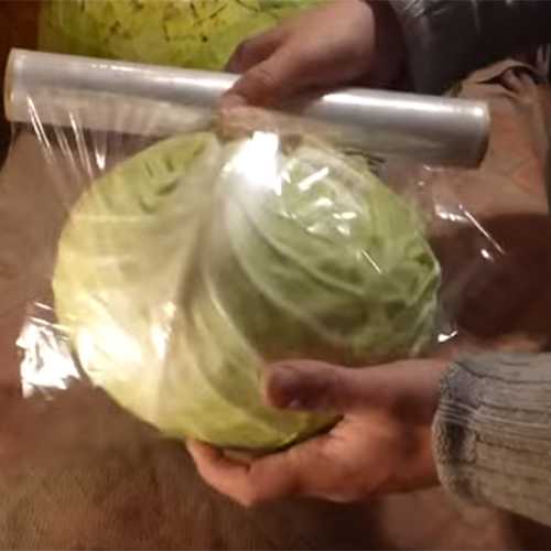 Полезные советы, как правильно заморозить и сохранить цветную капусту на зиму