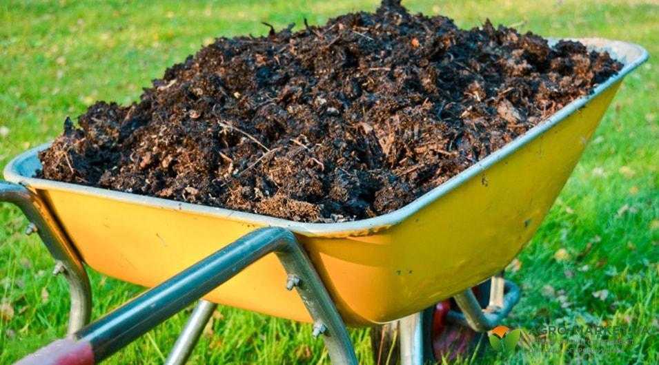 Куда девать картофельную ботву после уборки картофеля: варианты использования, особенности применения в огороде