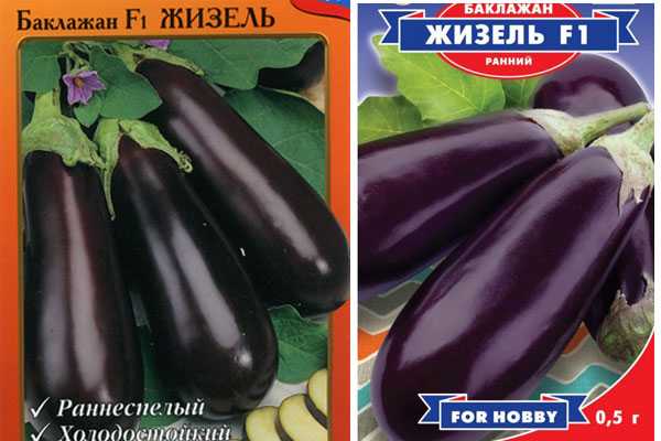 Сорт баклажанов чёрный принц: описание, агротехника выращивания - всёпродачу