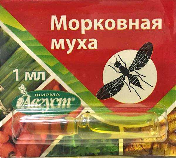 Луковая муха: как с ней бороться народными средствами и чем обработать, фото