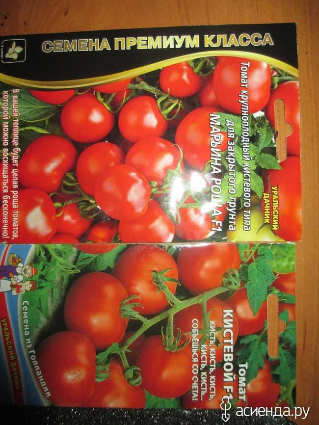 Как правильно выращивать томат «марьина роща»: отзывы, фото и урожайность раннеспелого гибрида