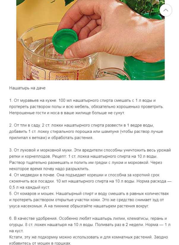 Как удобрять огурцы нашатырным спиртом: особенности и подходящая концентрация для растений