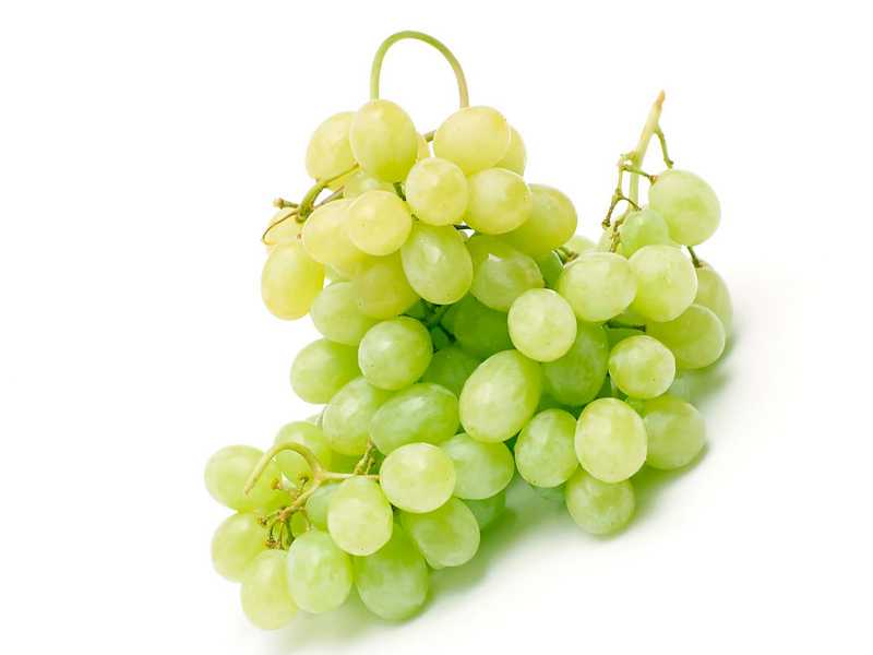 Калорийность винограда кишмиш на 100 грамм, польза и вред зеленого сорта
