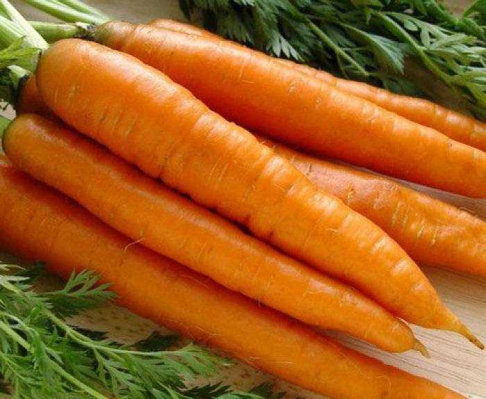 Морковь нандрин. Морковь Каскад f1. Индийская морковь. Морковь Каскад фото.