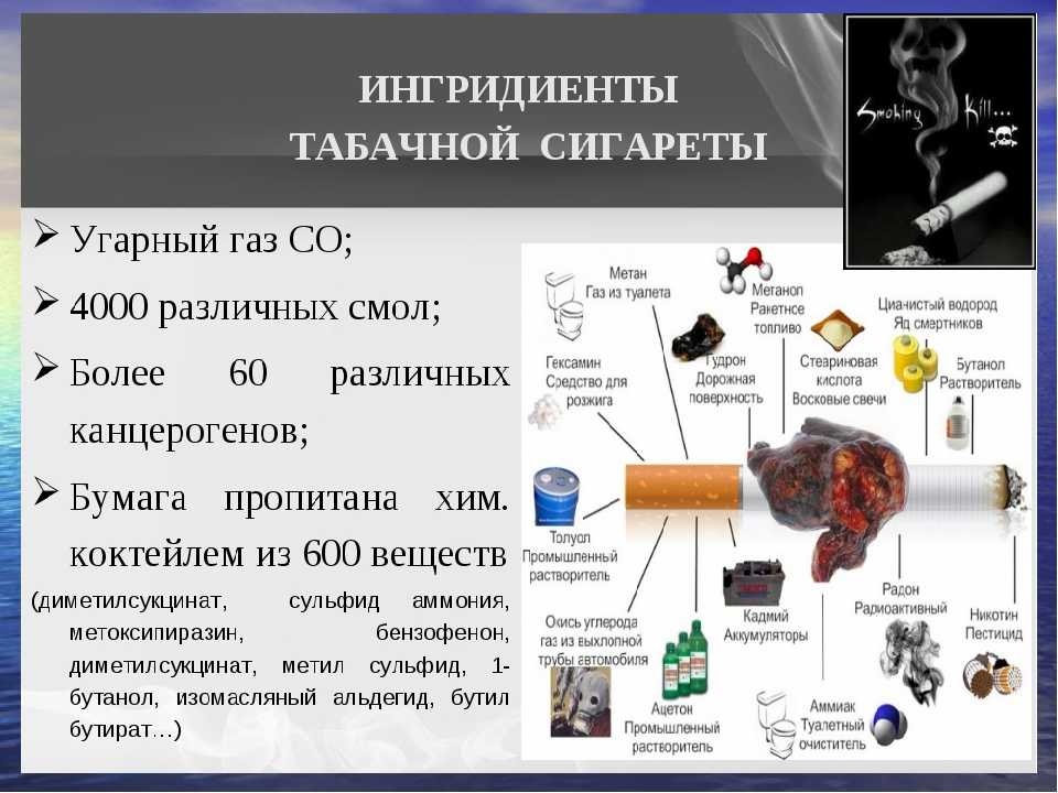 Никотин: влияние на организм человека, вред никотина