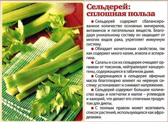 ᐉ как использовать листья и стебли корневого сельдерея - godacha.ru
