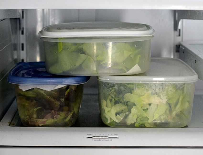 Как хранить зелень в домашних условиях (в холодильнике, морозилке...)