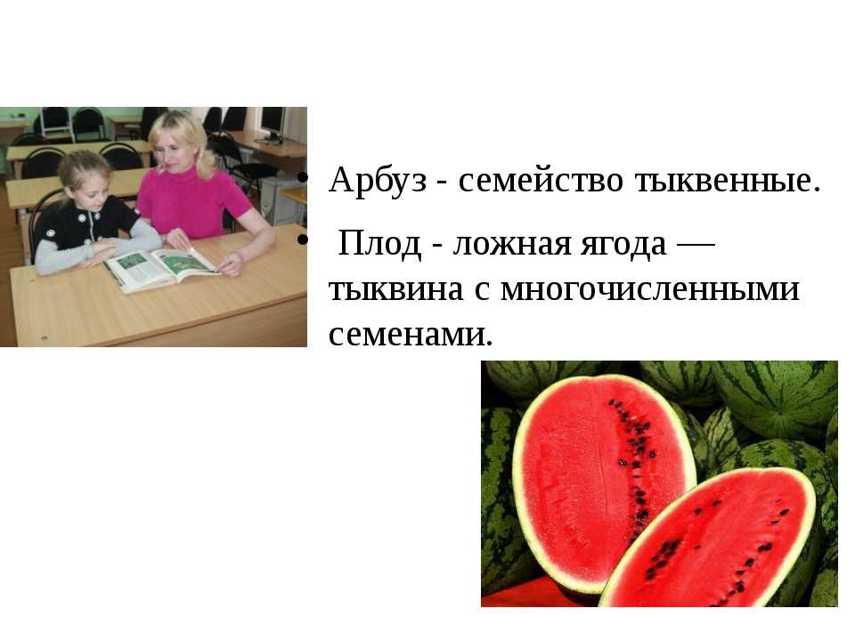 Дыня это ягода или фрукт - описание и особенности плода