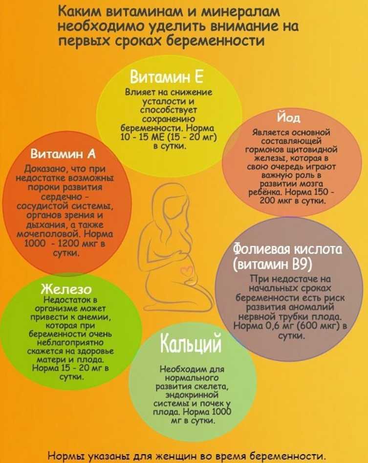 Брокколи при беременности: польза и вред. как можно есть брокколи беременным? - onwomen.ru