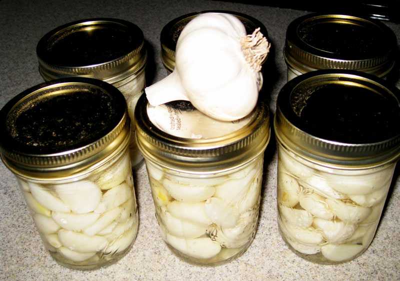 Как сохранить чеснок в стеклянной банке зимой? как хранить с солью и в муке? подготовка чеснока к хранению
