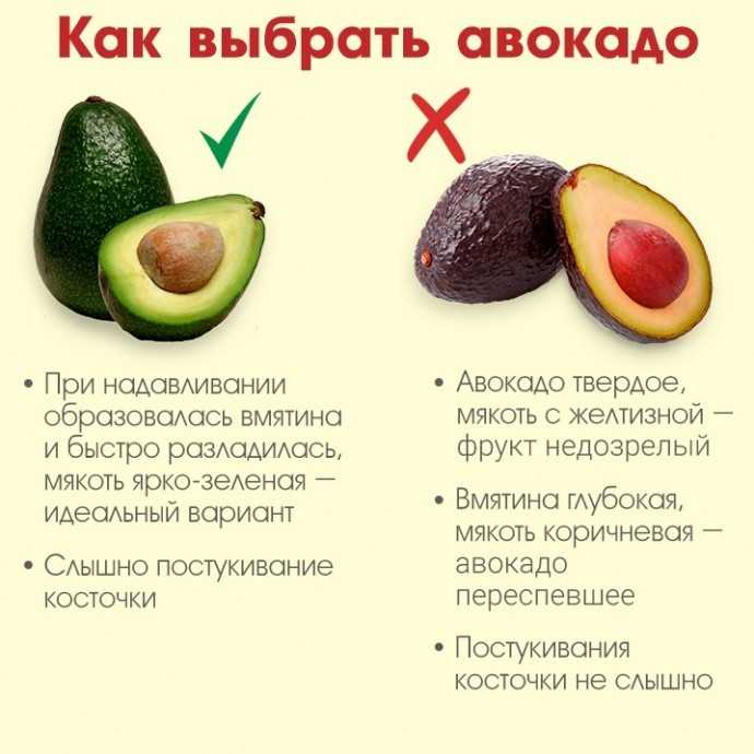 Как хранить авокадо в домашних условиях, чтобы не испортился