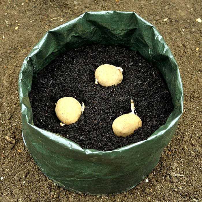 Посадка картофеля в мешках — суть и преимущества метода