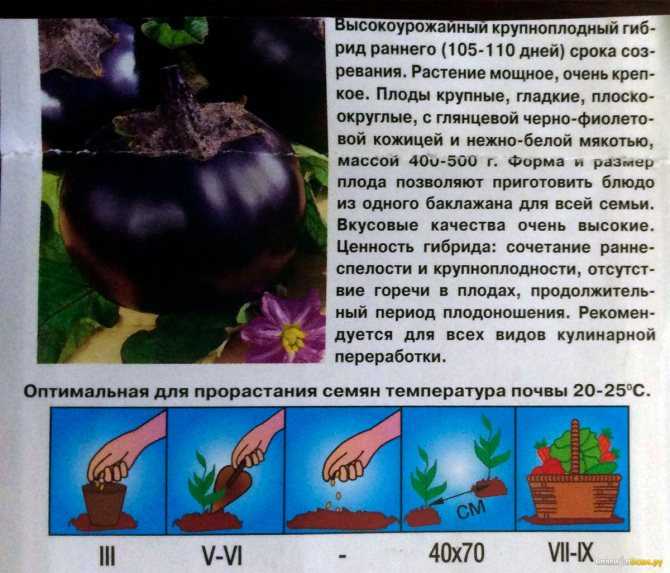 Баклажан щелкунчик f1: описание и рекомендации по выращиванию | дача cадовода