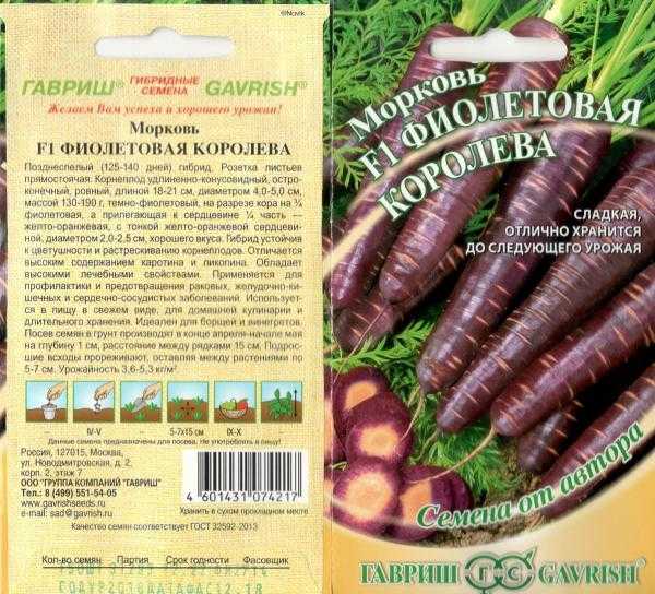 Фиолетовая морковь: где растет и какие популярные сорта, рекомендации по выращиванию