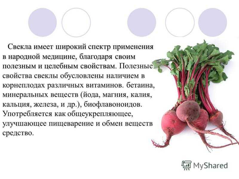 Свекольная диета для похудения: отзывы и результаты - medside.ru