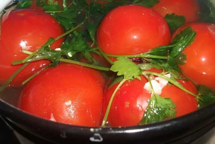 Засолить помидоры в кастрюле холодным способом быстро и вкусно