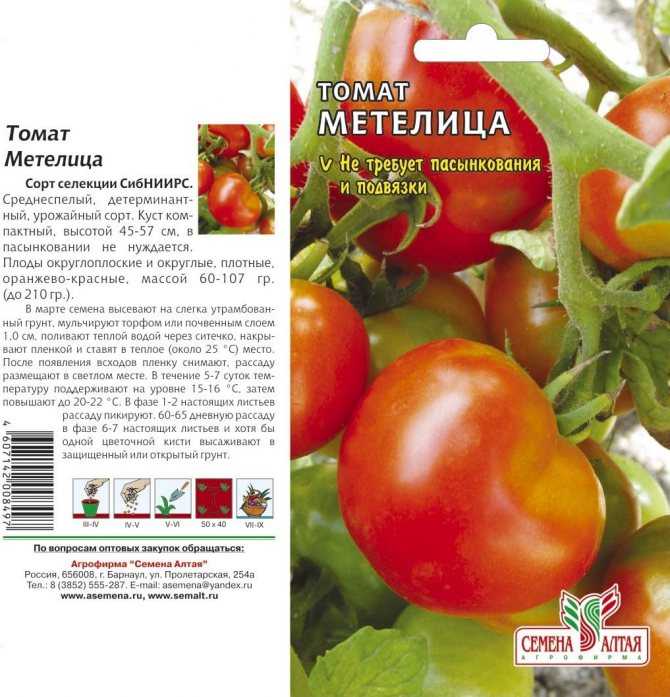 Томат чудо рынка: фото помидоров, отзывы тех, кто его выращивал, преимущества и недостатки сорта