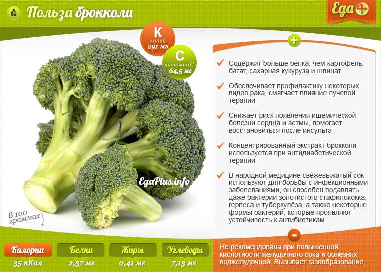 Чем отличается:: брокколи и цветная капуста — ikirov.ru