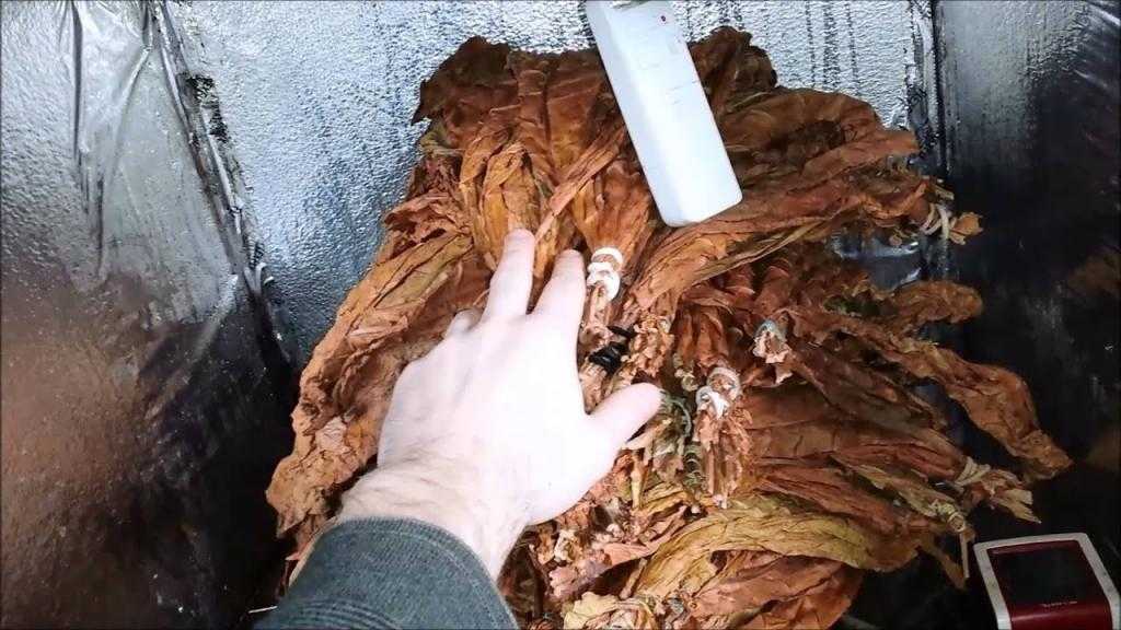 Ферментация табака в домашних условиях: подготовка и способы, фото