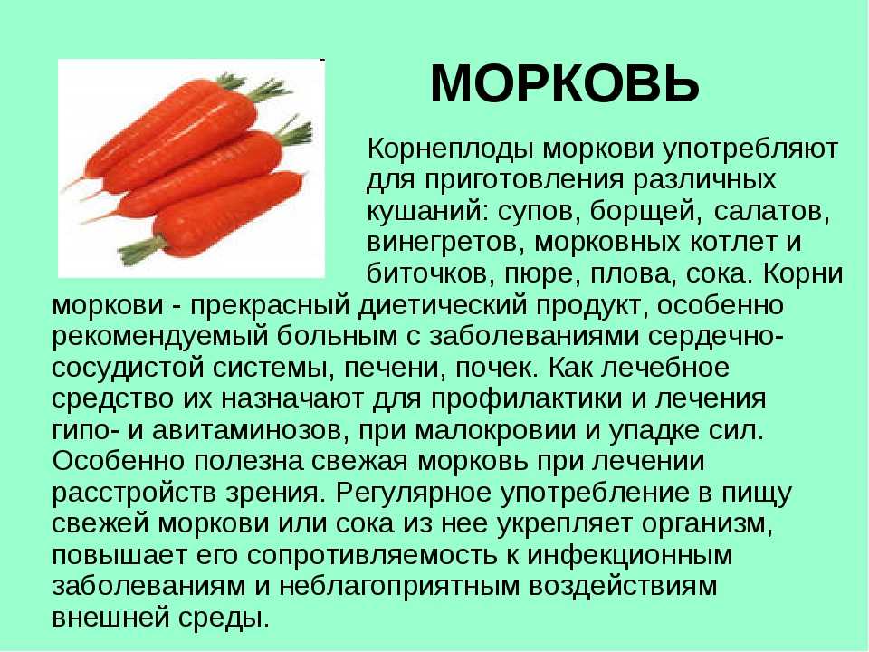 Почему горчит морковь свежая. 5 причин горечи моркови и 4 способа ее предотвратить