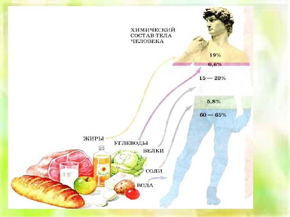 Витамины в арбузе