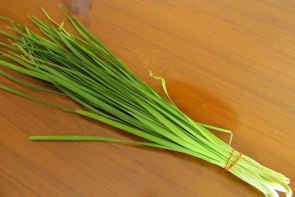 Лук джусай: фото, описание сорта, посадка и выращивание из семян