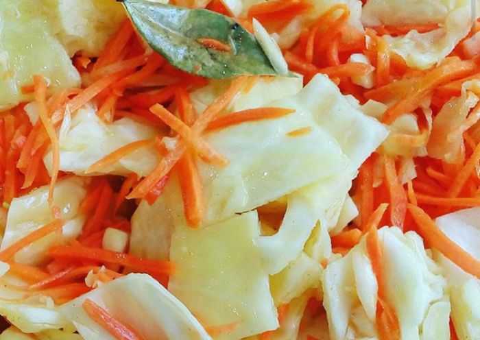 Маринованная капуста быстрого приготовления: 5 рецептов хрустящей и сочной капусты