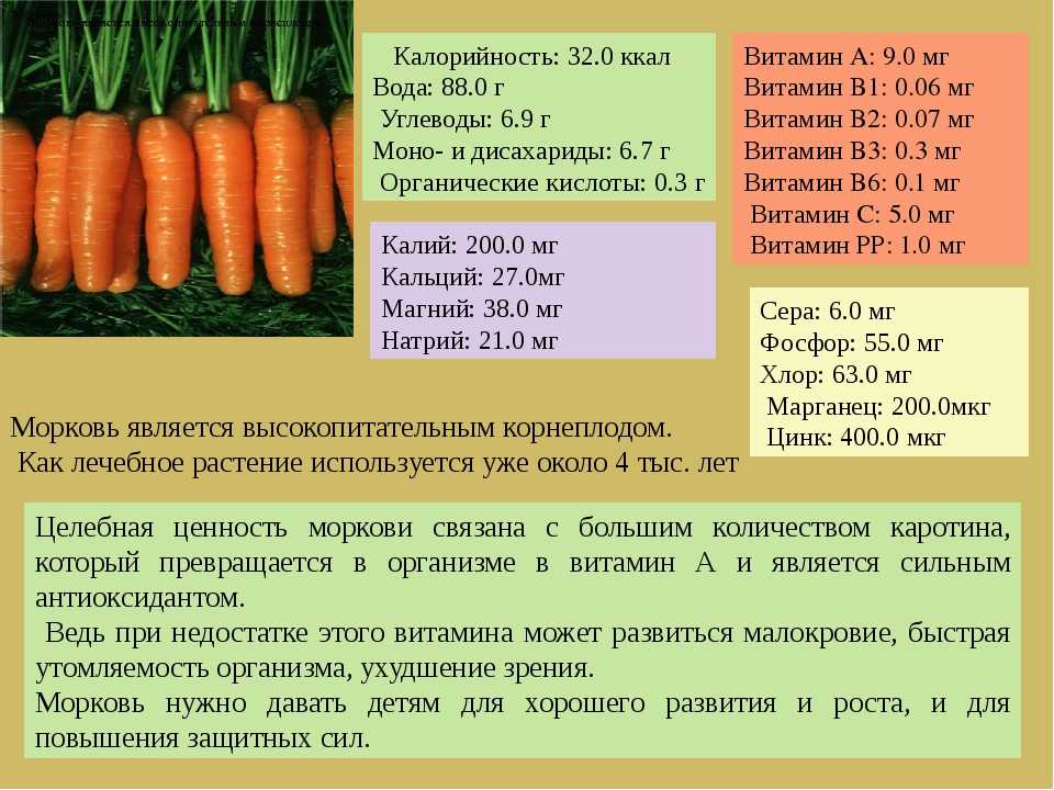 Желтая, белая и фиолетовая морковь: что это и чем отличается от оранжевой