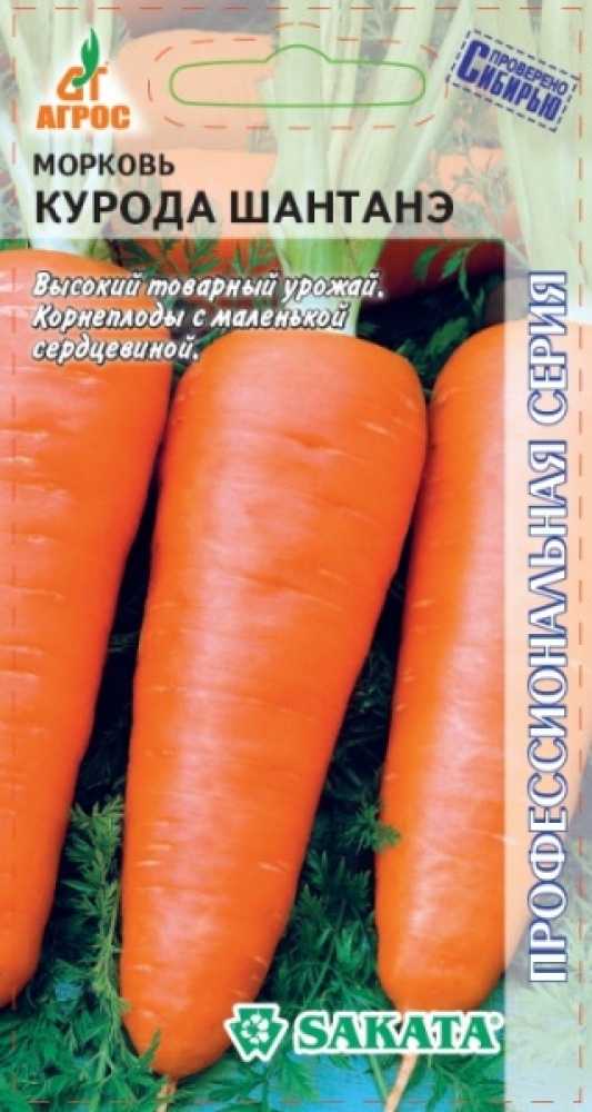 Морковь шантане: описание и особенности агротехники