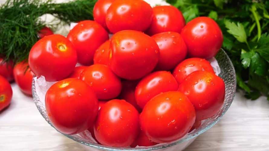 Как сохранить помидоры долго свежими и где их лучше хранить: подходящие сорта и правильная подготовка