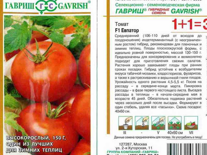 Миниатюрные кустики с аккуратными помидорками, плодоносящие до самых заморозков – томаты «факел»